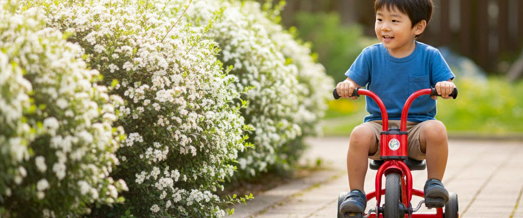 コトネアスター
